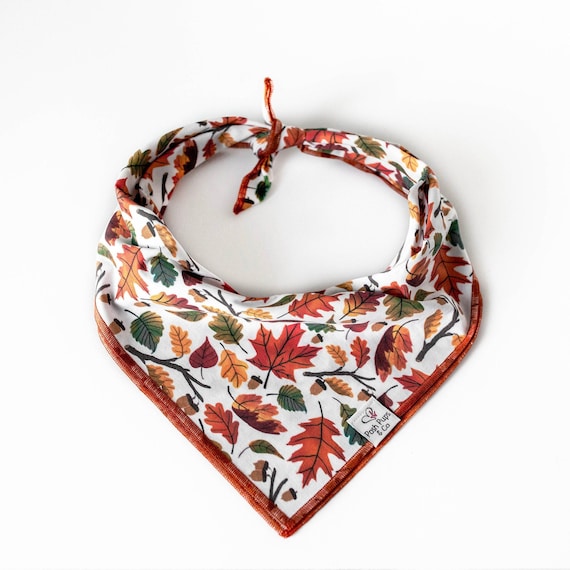 Oakley Bandana, Autumn Dog Bandana