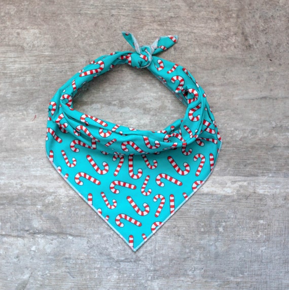 Candy Cane Dog Bandana on Aqua, Christmas Dog Bandana