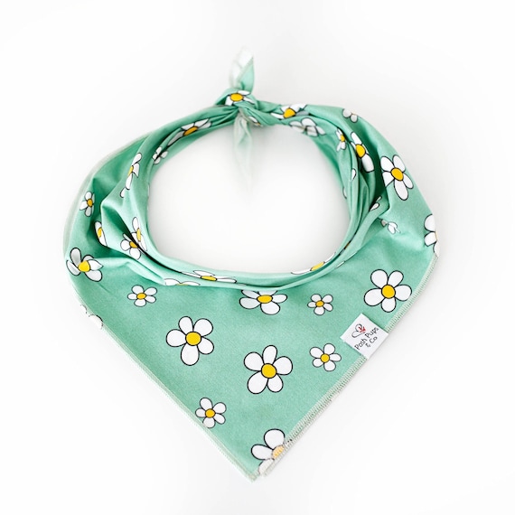 Daisy Bandana, Daisy Dog Bandana