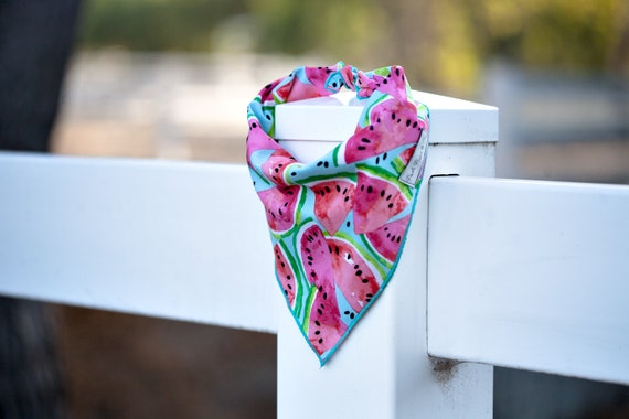 Melony Bandana, Watermelon Dog Bandana, Summer Dog Bandana