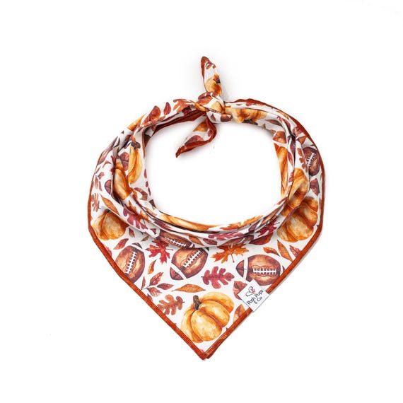 Fall Football and Pumpkins Bandana, Autumn Dog Bandana