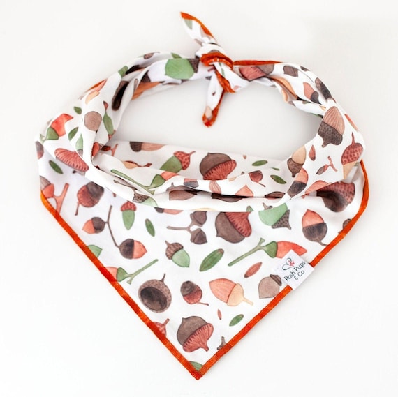 Acorn Bandana, Acorn Dog Bandana