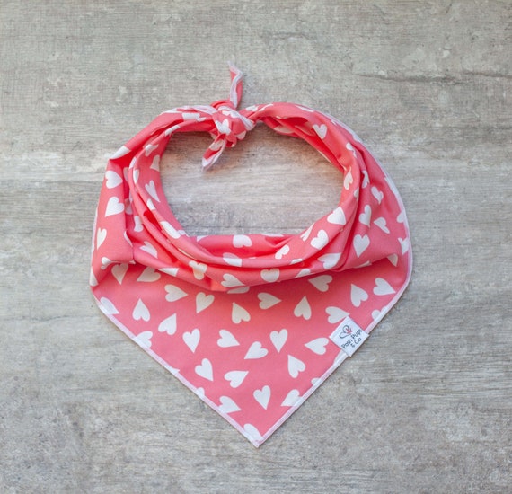 Vida Bandana, Valentine's Day Dog Bandana