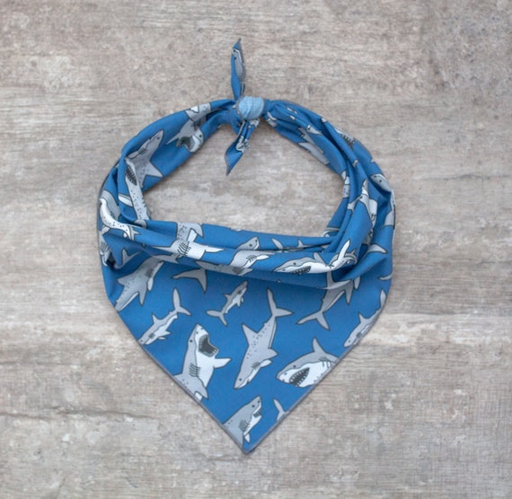 Clark Bandana on Blue, Shark Dog Bandana,