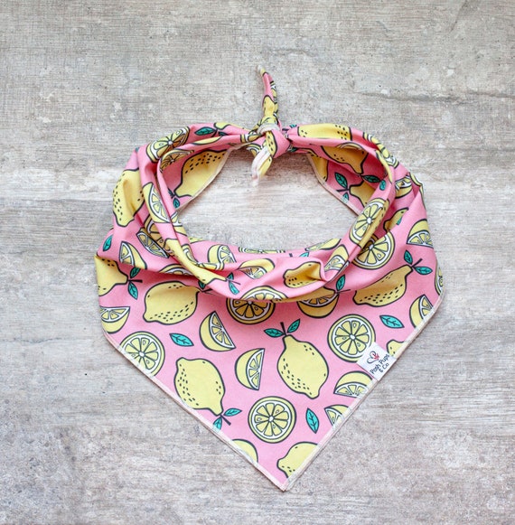 Lemons on Pink Bandana, Lemons Dog Bandana, Tie on Dog Bandana