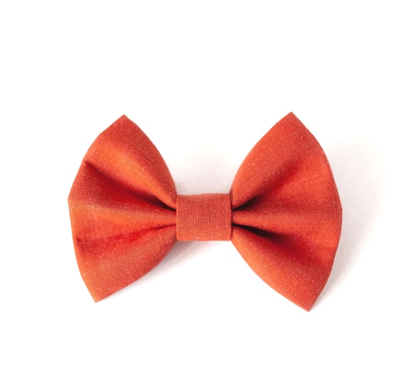 Pumpkin Spice Dog Bow Tie, Autumn Dog Bow Tie