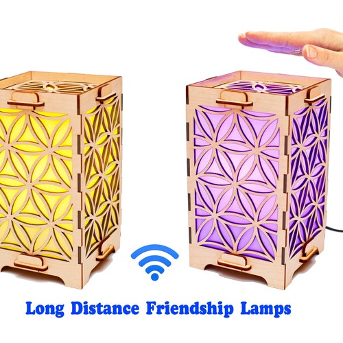 Love Lamps Set of Two Friendship Lamps Etsy