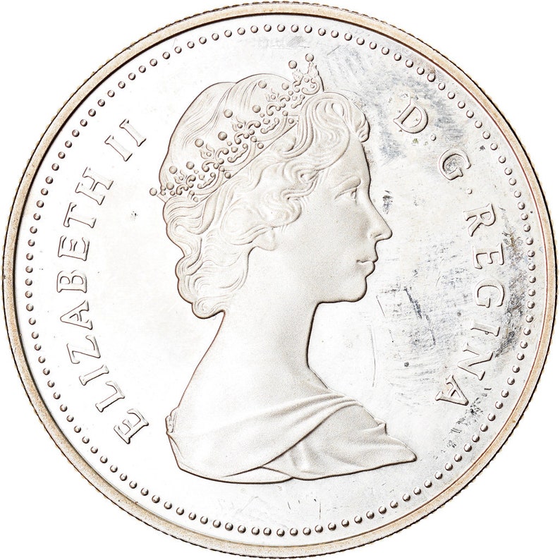 proof ottawa 1989 elizabeth ii canada royal canadian mint dollar coin
