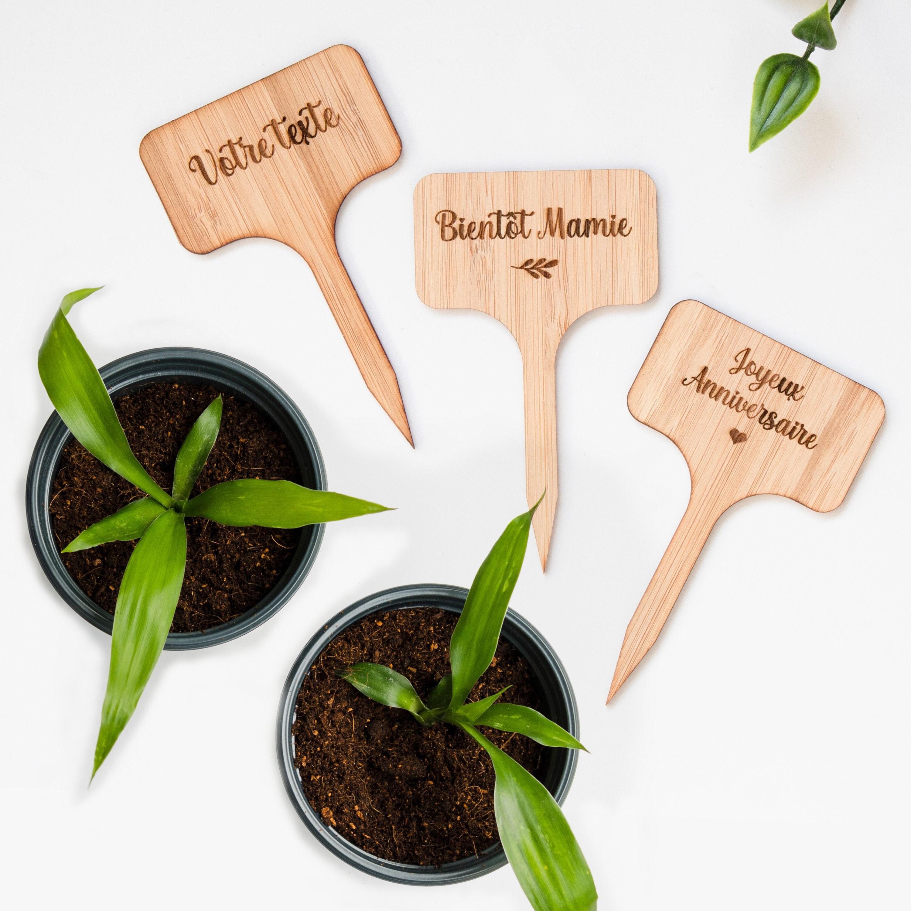 Autocollant plantes verte en pot - Sticker A moi Etiquette