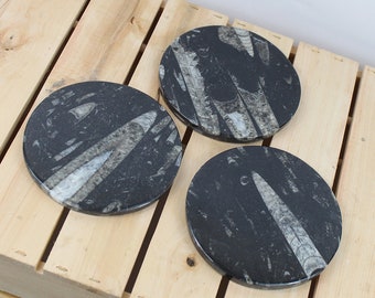 Marokkanische Fossilien Marmor Untersetzer Set 10 cm, 12 cm | Tischdekoration | Untersetzer | Glastablett | Geschenkidee Fossilien Liebhaber Geschenk