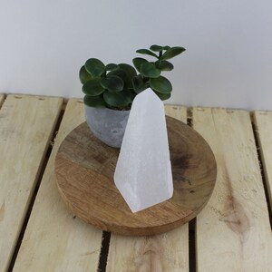 May include: A white selenite crystal tower stands on a wooden surface. The crystal has a smooth, polished appearance and a geometric shape. A small potted succulent plant sits behind the crystal. The background is a light wood surface.