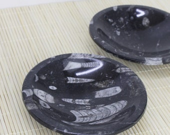 Marble Fossil Bowl, Natural Orthoceras, Moroccan Decor