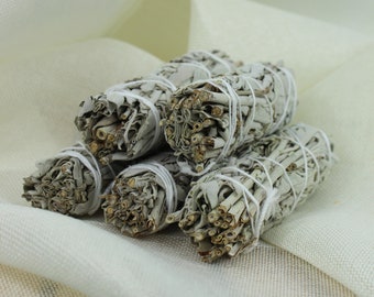 White Sage Smudge Bundle 10-12 cm | Meditation | Smudging | Natural Incense | Incense Lover Gift Idea | Home Energy Cleansing | Space Energy