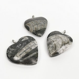 Orthoceras Fossil Pendant 3-4 cm | Marble Heart Shape Pendant | Strength Amulet | From Morocco | Fossils Lover Gift Idea | Fossil Amulet