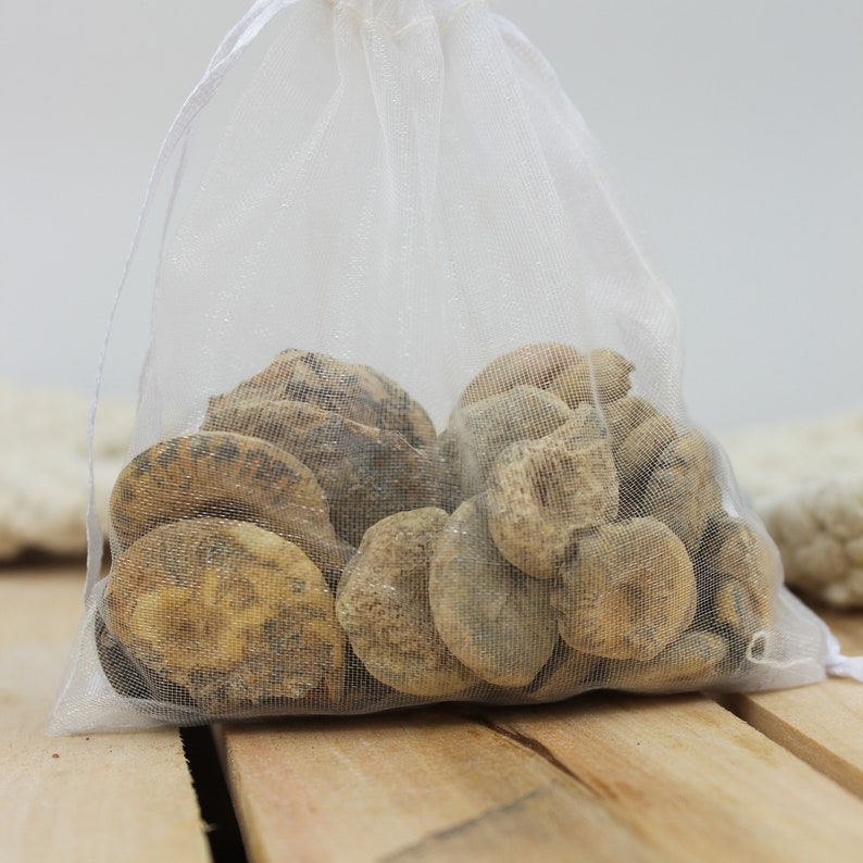 May include: A white mesh bag filled with a variety of light brown, smooth, round stones.