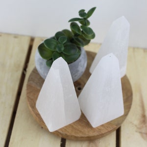 May include: Three white selenite crystal obelisks of varying sizes are displayed on a wooden tray. A small potted succulent plant in a gray pot sits behind the crystals. The background is a light wooden surface.