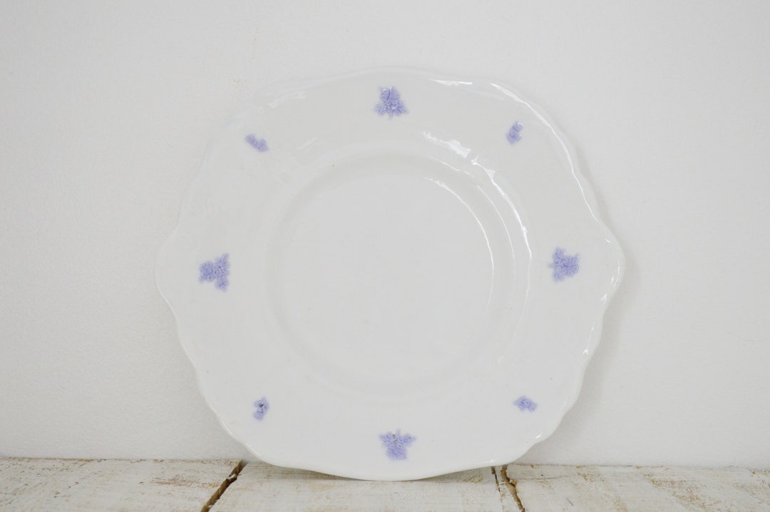 Antique Plates, Vintage Plates, Blue and White Plates, Blue Tableware