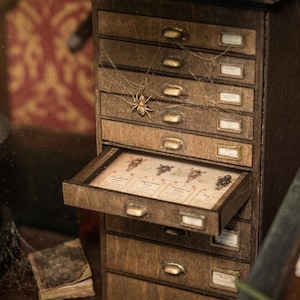 May include: A miniature wooden cabinet with multiple drawers, some labelled with small rectangular tags. A spider and web are attached to the cabinet. One drawer is open, displaying insect illustrations. The cabinet is in a dimly lit room.