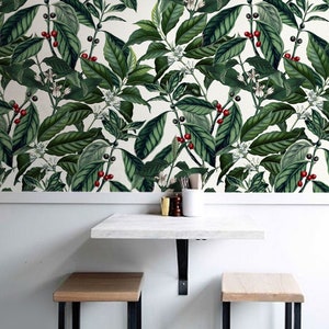 Coffee plant wallpaper, Coffee beans wall mural, Arabica wallpaper #60