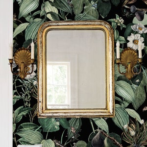 Dark Fig wallpaper, Black botanical wallpaper, Moth, lizard and plant wallpaper, Grunge, Vintage pattern, Insects 196 image 4