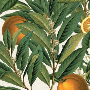 May include: A seamless pattern featuring oranges, green leaves, and white blossoms. The oranges are a vibrant orange color, and the leaves are a deep green. The blossoms are small and white, creating a natural, botanical theme.