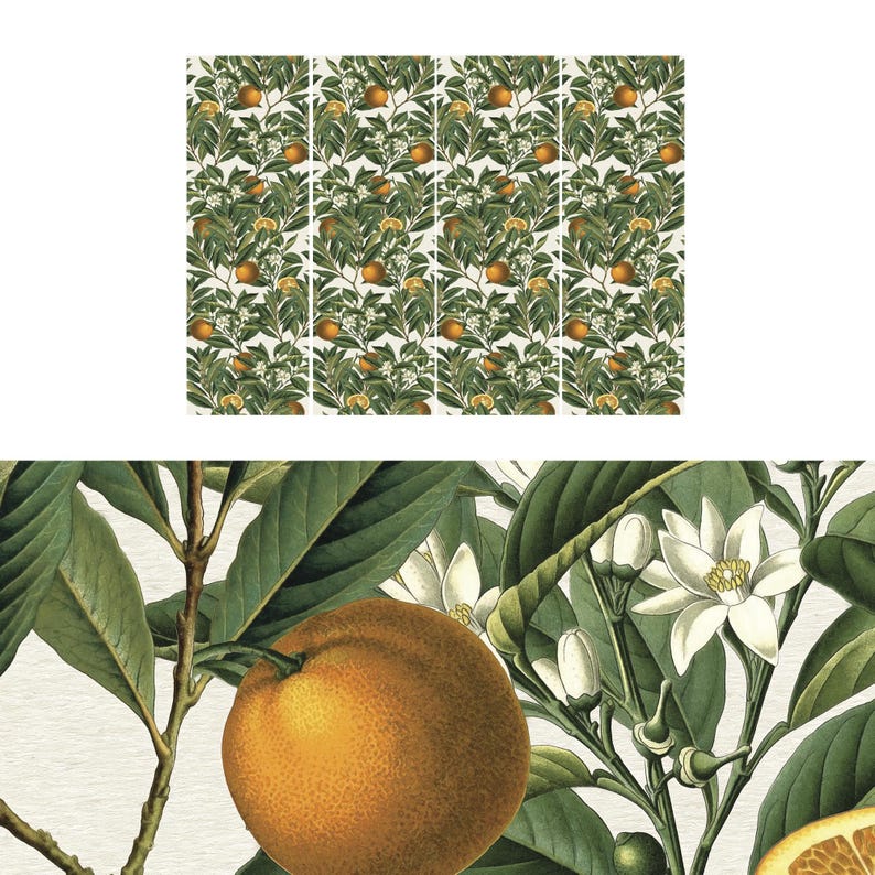 May include: A botanical illustration featuring a repeating pattern of orange trees with ripe oranges, green leaves, and white blossoms. The close-up shows a detailed view of an orange, leaves, and flowers, with a soft, off-white background.