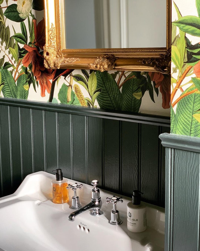 May include: A white porcelain bathroom sink with a chrome faucet and two soap dispensers. The sink is set against a dark green wood panel wall with a floral wallpaper border.