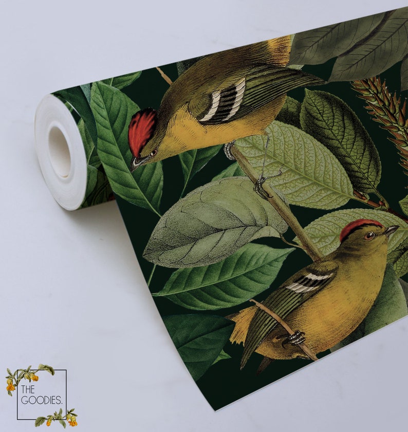 Dark Botanical Removable Wallpaper Colors of Nature Wall Etsy UK