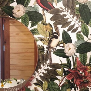 May include: A white background with a floral wallpaper pattern featuring green leaves, white magnolia flowers, red flowers, and two birds. One bird is red and the other is black and white. The text "THE GOODIES." is in the lower left corner of the image.