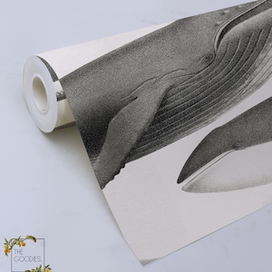 May include: A roll of white wallpaper with a black and white illustration of two whales. The whales are drawn in a detailed, realistic style.