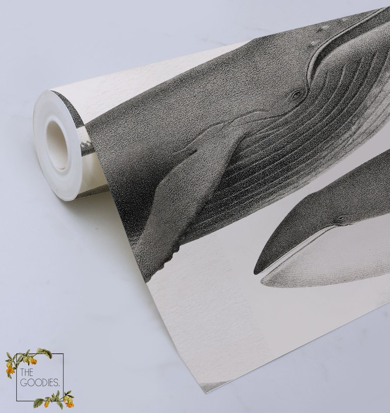 May include: A roll of white wallpaper with a black and white illustration of two whales. The whales are drawn in a detailed, realistic style.