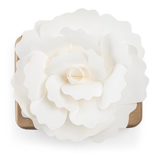 Biodegradable Urn for Human Ashes / water burial urn / urn for cremation / biodegradable cremation urn image 3