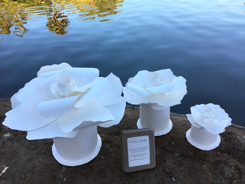 Biodegradable cremation urn / Premium Design / floating water Etsy