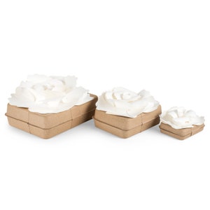 Biodegradable Urn for Human Ashes / water burial urn / urn for cremation / biodegradable cremation urn image 4