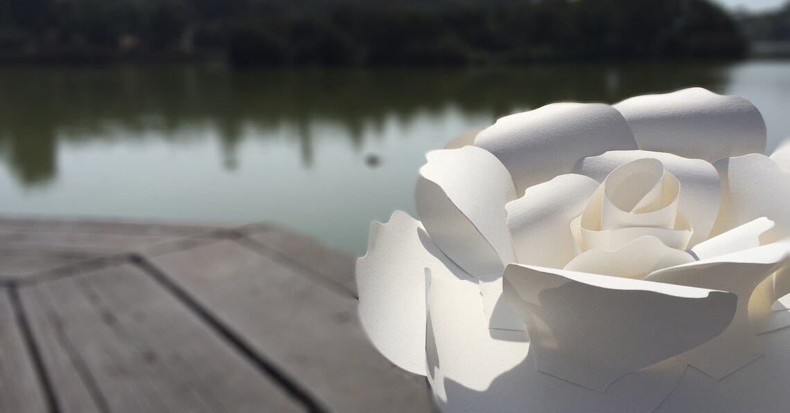 Biodegradable cremation urn / Premium Design / floating water Etsy