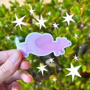 Sticker teckel | Sticker pour chien viennois | autocollant pour chien Weenie | Stickers chien mignon | Cadeaux pour la fête des pères