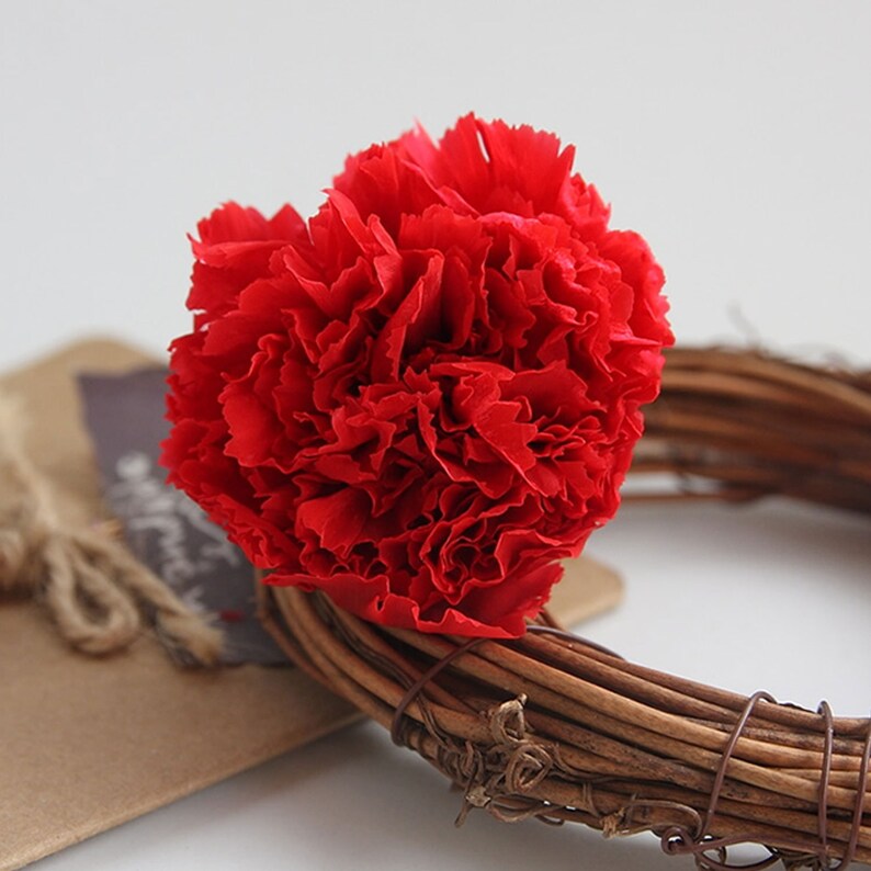 Preserved Carnation flower Dyed and Dried Carnation Mother Etsy