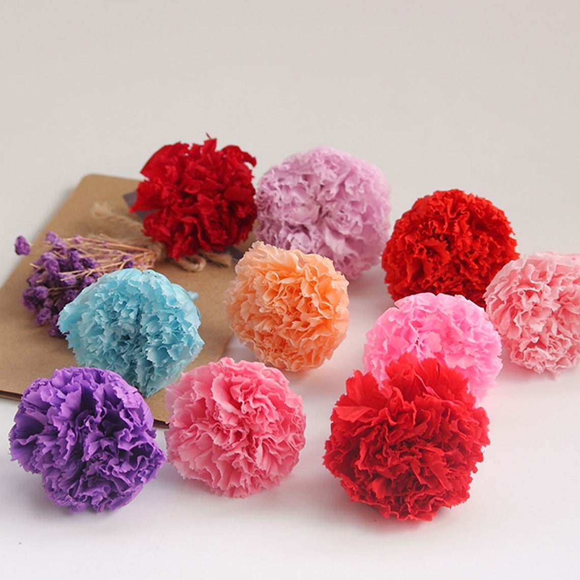 Preserved Carnation flower Dyed and Dried Carnation Mother Etsy