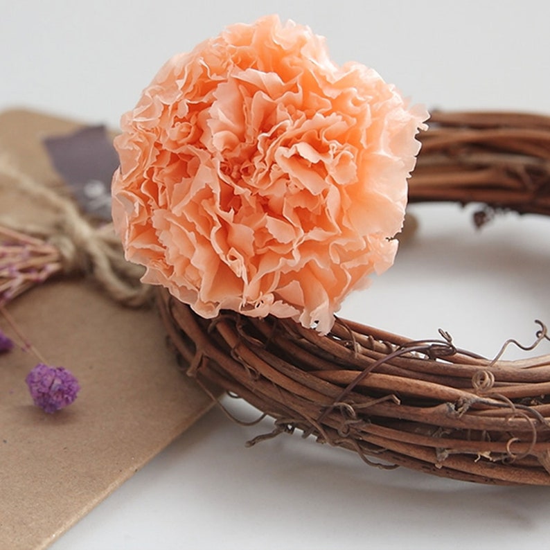 Preserved Carnation flower Dyed and Dried Carnation Mother Etsy