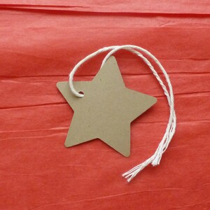 50 Sternanhänger 4,5 cm Kraft Tags Sterne Preisschilder Geschenkanhänger leere Tags Warenanhänger Produktanhänger Leckerlibeutel Gastgeschenke