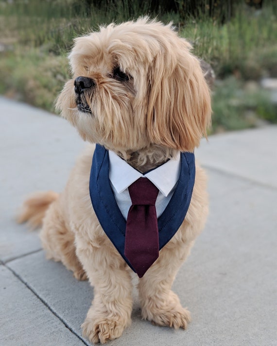 Custom Dog Suit Bandana Tuxedo Tie Outfit for weddings | Etsy