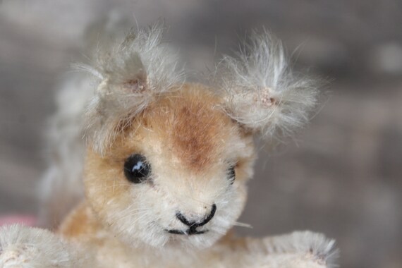 Old STEIFF Squirrel Possy 10 Cm Soft Toy Without Ids 50s 60s - Etsy