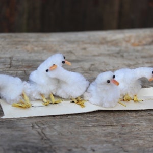 May include: Five white fluffy toy geese with black eyes and orange beaks. The geese are arranged in a row on a white surface.