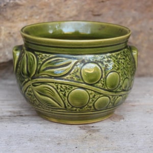 Könnte beinhalten: Ein grüner Keramik-Pflanztopf mit glänzendem Finish. Der Topf hat ein geprägtes Design aus Blättern und kreisförmigen Mustern. Er hat zwei kleine Griffe und eignet sich für kleine Pflanzen. Misst etwa 15 cm im Durchmesser.
