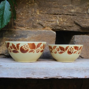 Könnte beinhalten: Zwei cremefarbene Keramikschalen mit einem braunen Blumenmuster. Die Schalen sind unterschiedlich groß und stehen nebeneinander auf einer Holzoberfläche. Das florale Design umfasst Blätter und beerenartige Formen.