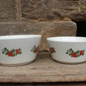 2 pcs. Bowl Set Berry Decor Ceramic 80s Czechoslovakia