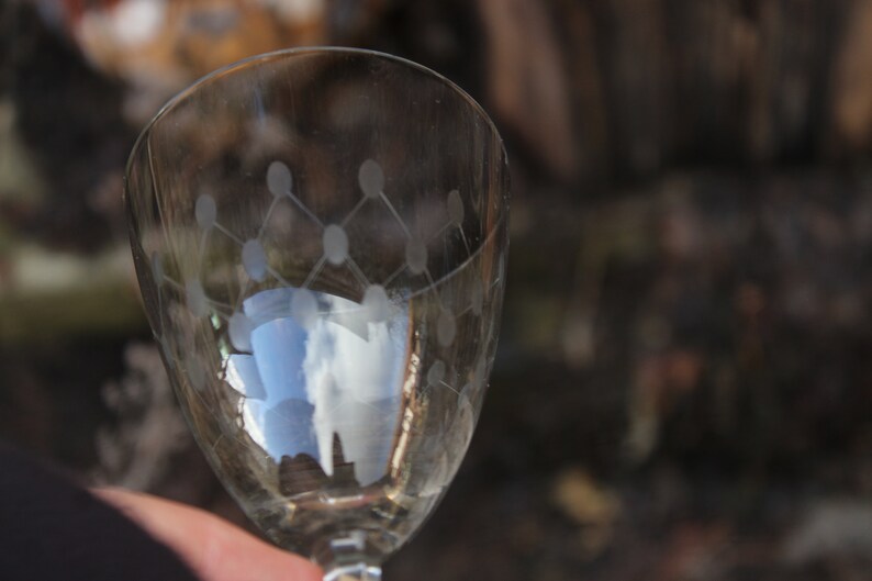 5 wine glasses etched glass 50s GDR GDR