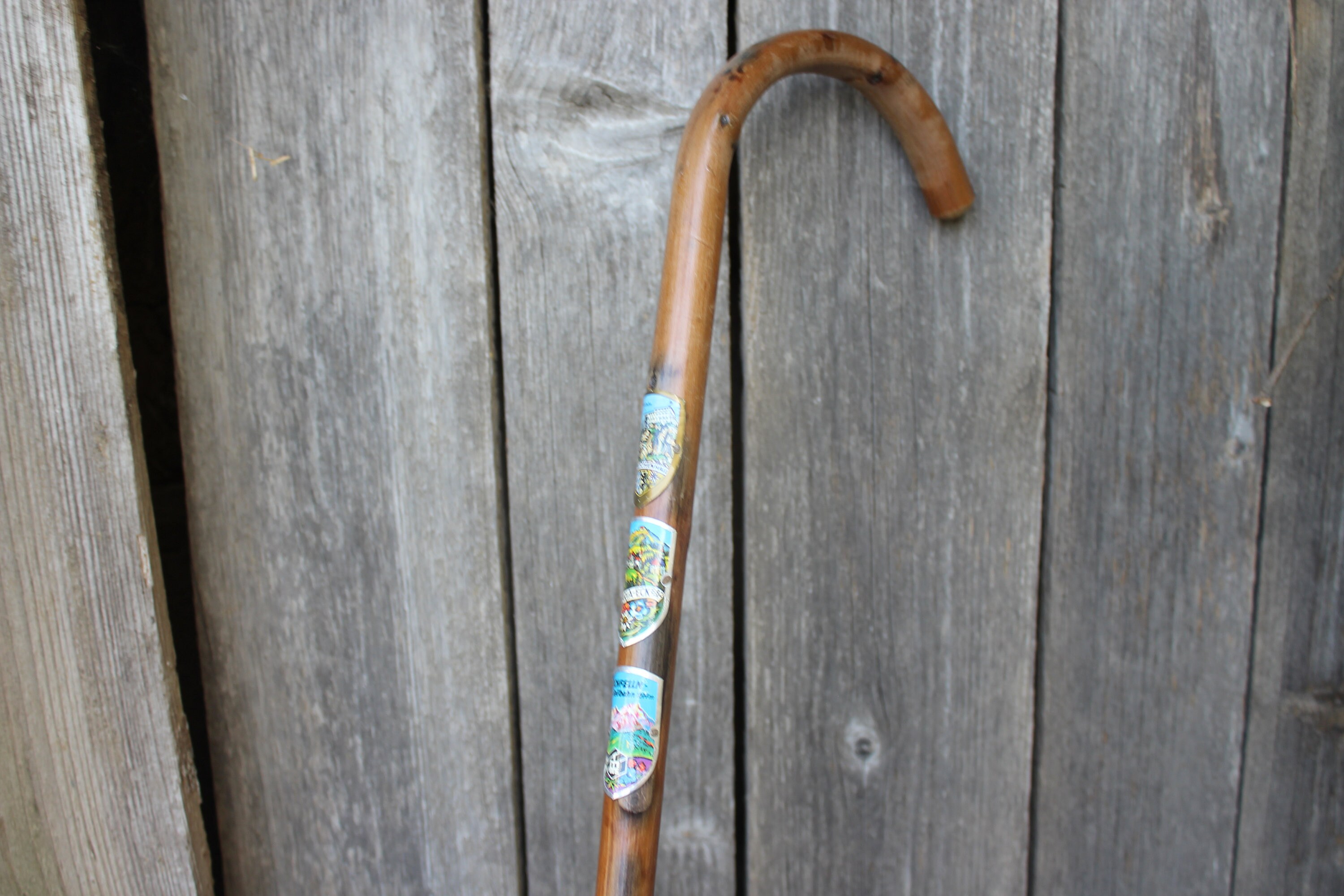 Bastone da passeggio testa cane buldog elegante per uomo e donna signora anziana da collezione in legno nero personalizzato lusso vintage - Italia