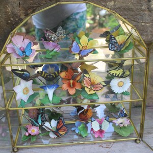 Franklin Mint / 14 farfalle paradisiache del mondo / con teca di vetro anni '80