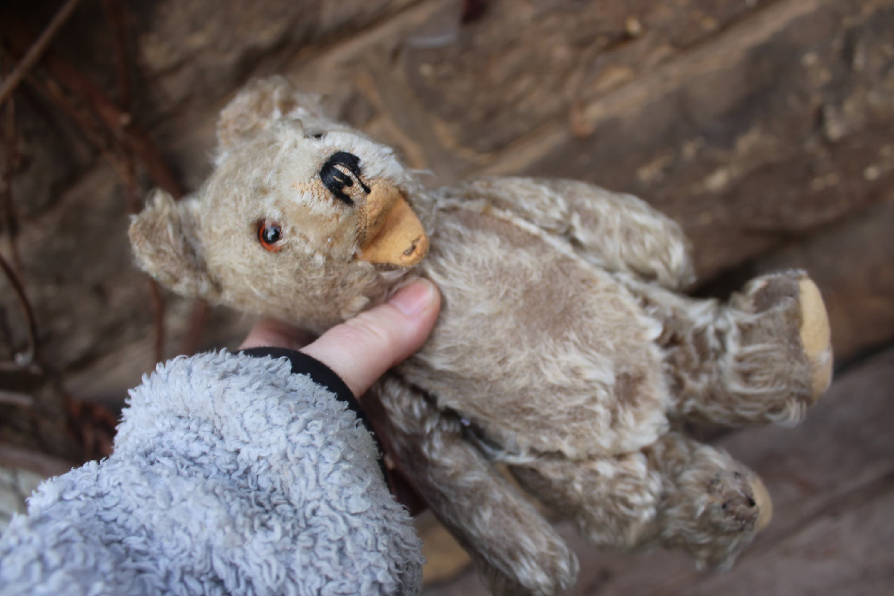 Vintage Shabby Teddy Bear With Squeaker / Steiff or Hermann Zotty